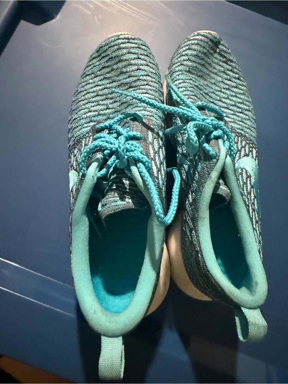 Nike Women's Teal Knit Running Sneakers